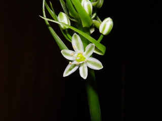 IMGP0835.JPG